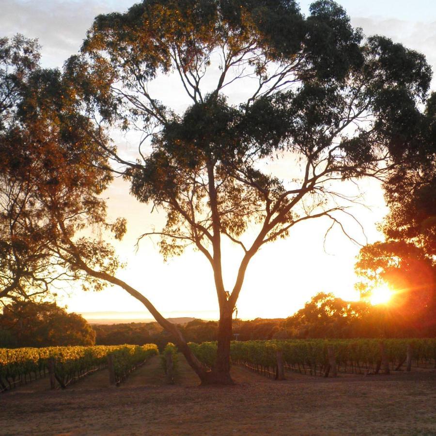 Gisborne Peak Winery Short Term Stays Esterno foto