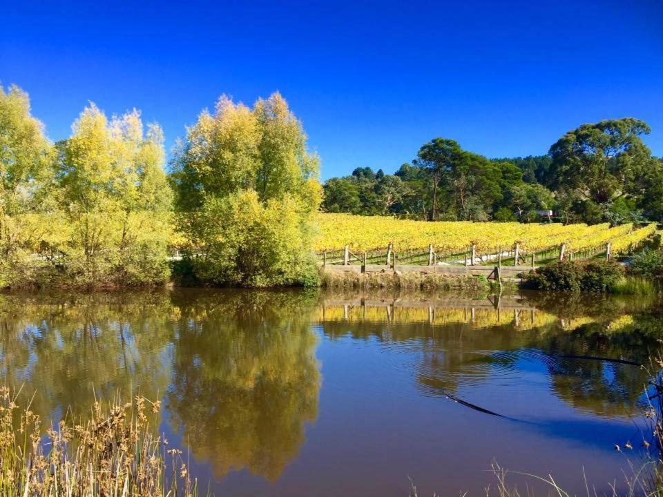 Gisborne Peak Winery Short Term Stays Esterno foto