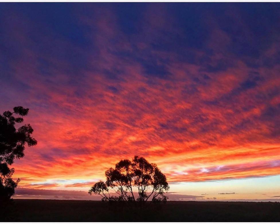 Gisborne Peak Winery Short Term Stays Esterno foto