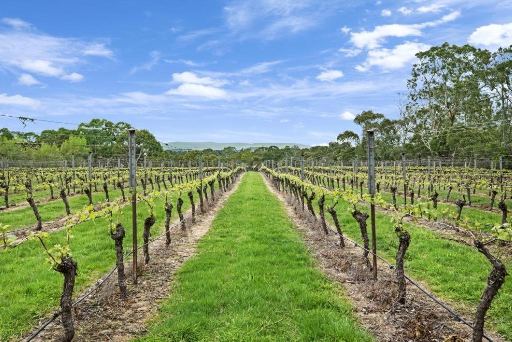 Gisborne Peak Winery Short Term Stays Esterno foto