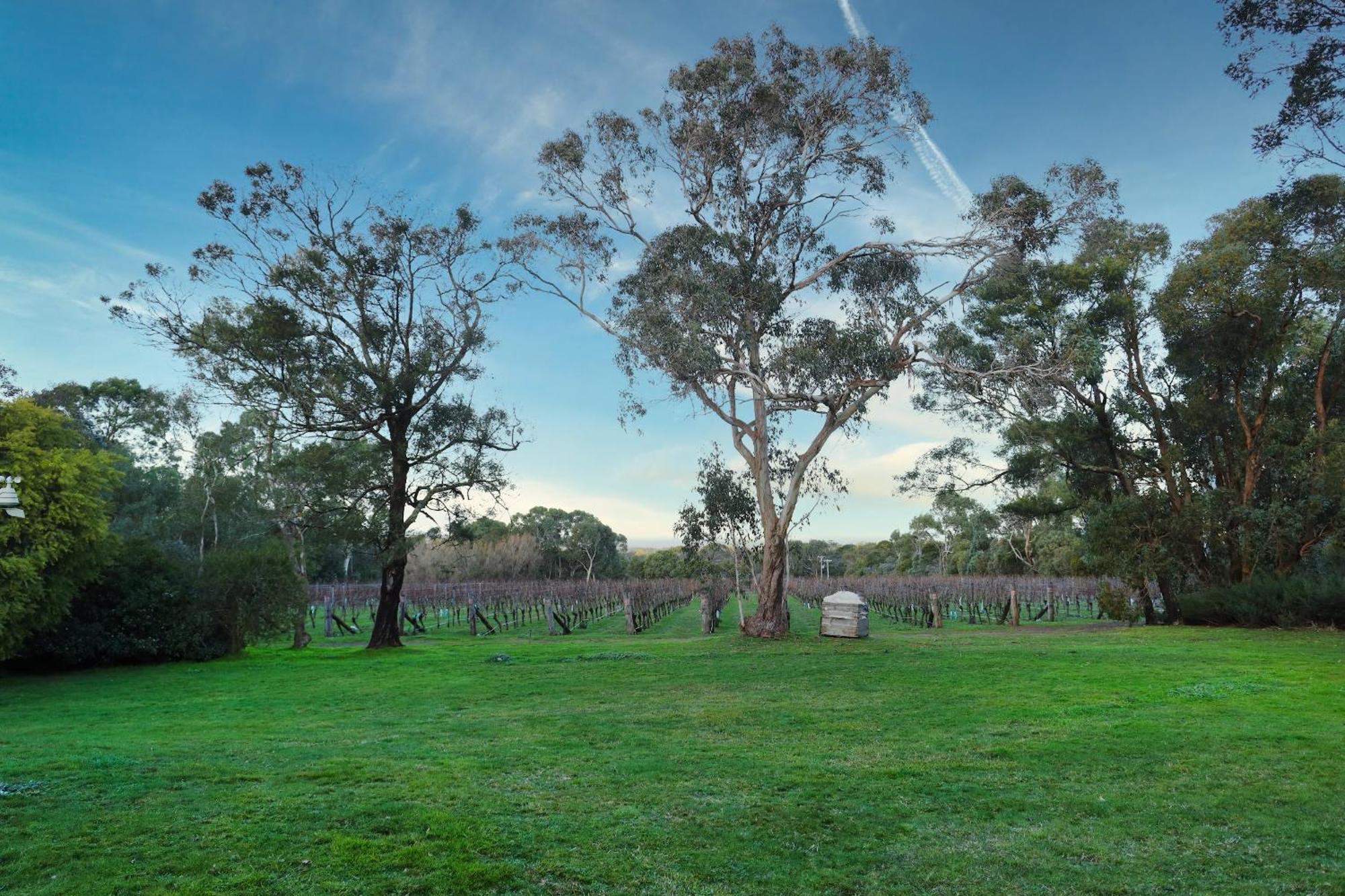 Gisborne Peak Winery Short Term Stays Esterno foto