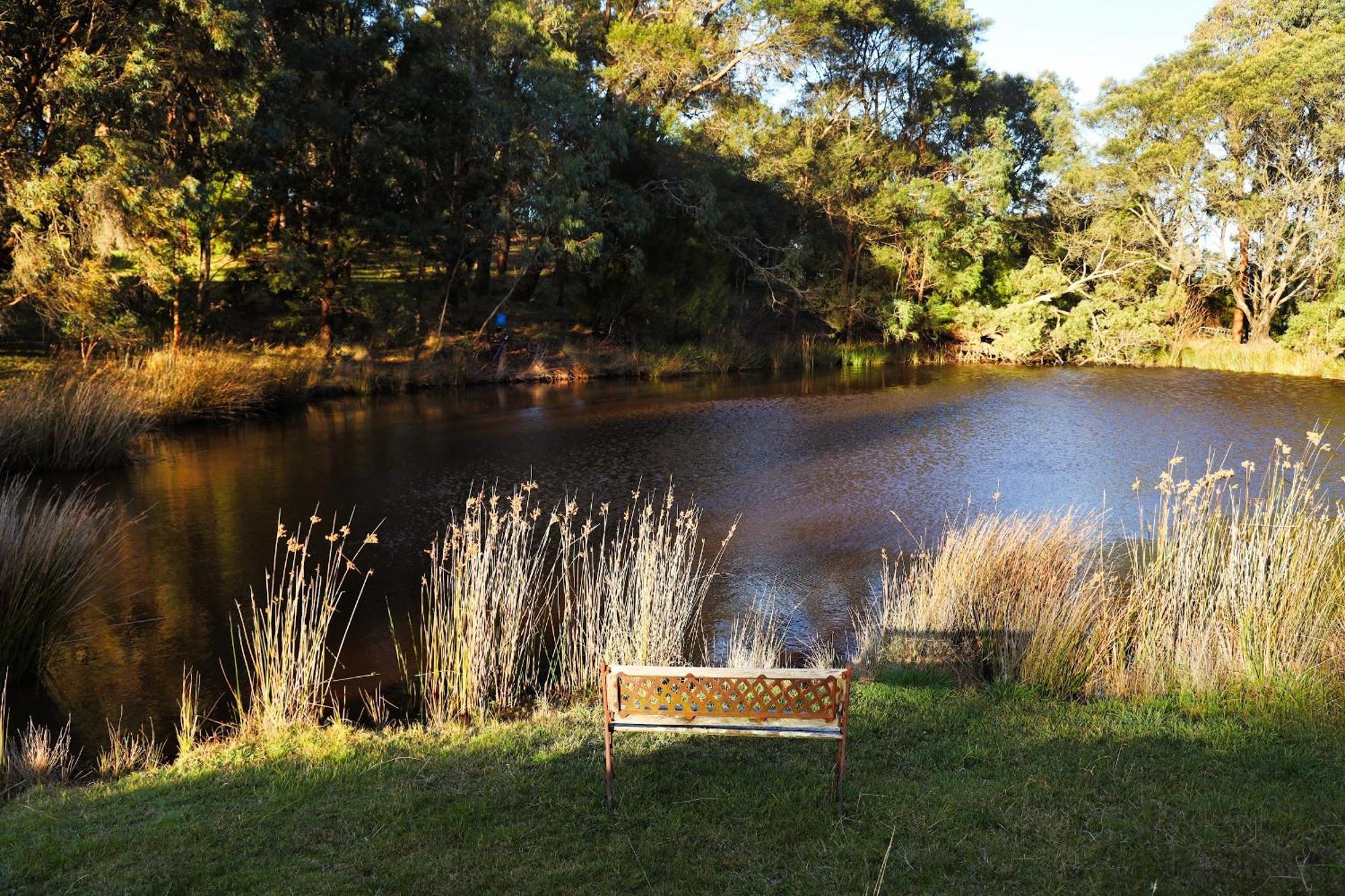 Gisborne Peak Winery Short Term Stays Esterno foto