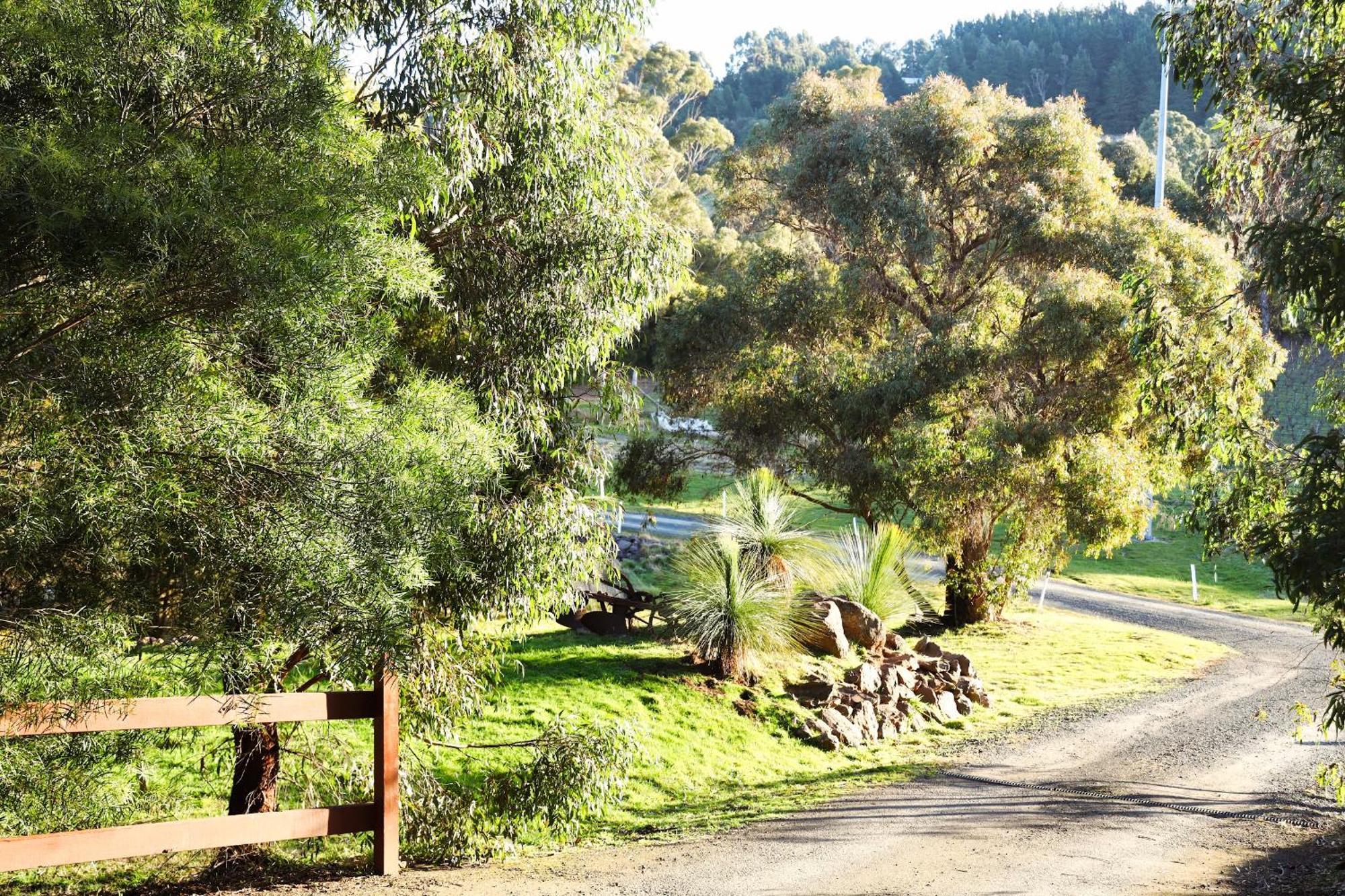 Gisborne Peak Winery Short Term Stays Esterno foto