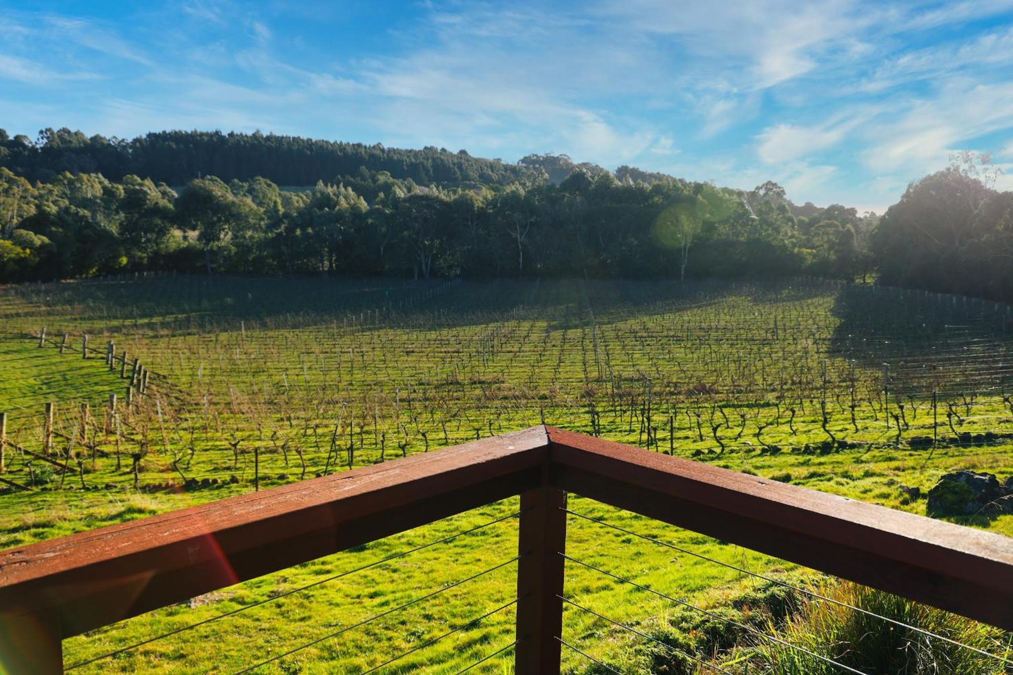 Gisborne Peak Winery Short Term Stays Esterno foto