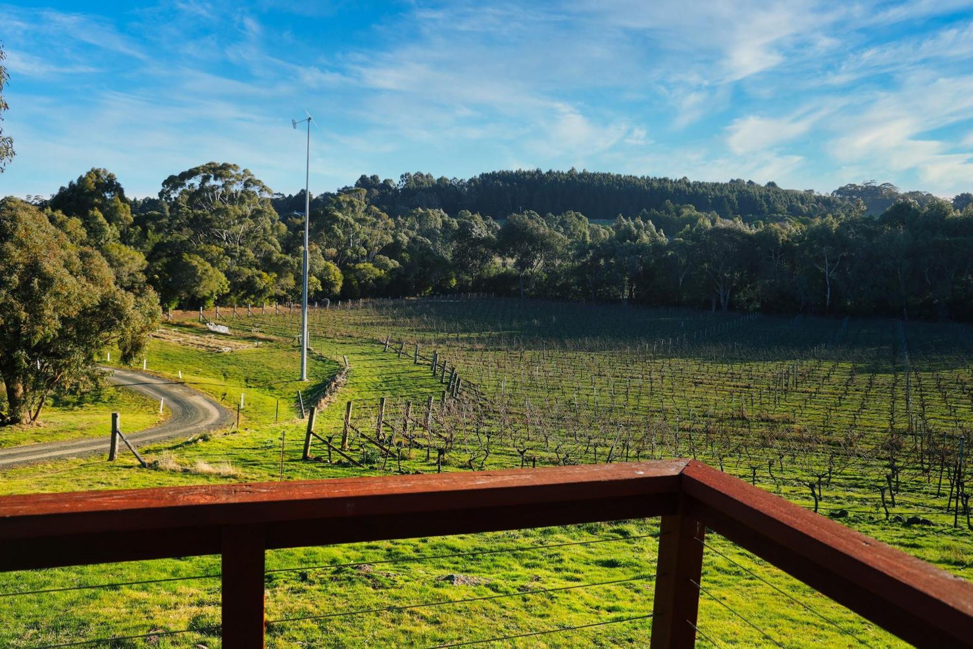 Gisborne Peak Winery Short Term Stays Esterno foto