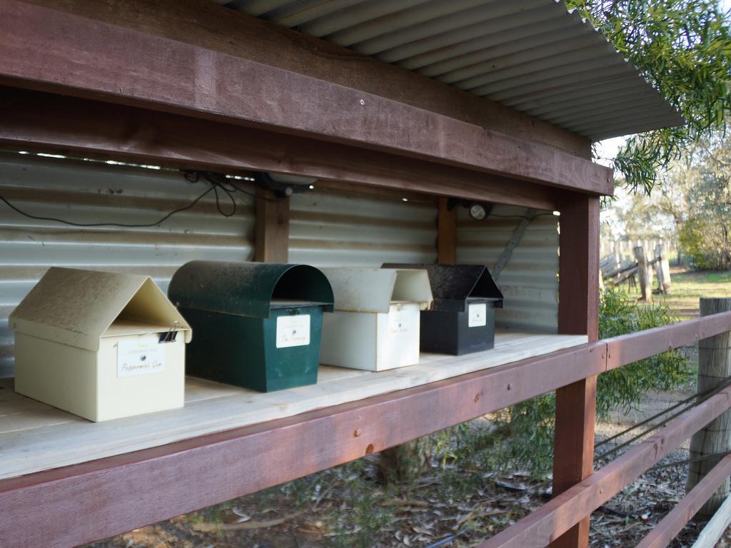 Gisborne Peak Winery Short Term Stays Camera foto